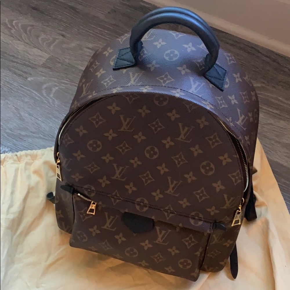 Louis Vuitton Monogram Plam Springs MM